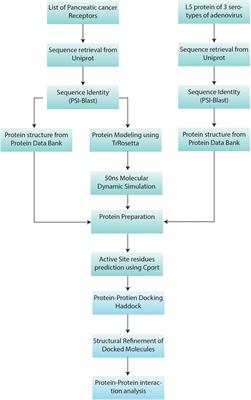 Interaction Analysis of Adenovirus L5 Protein With Pancreatic Cancer Cell Surface Receptor to Analyze Its Affinity for Oncolytic Virus Therapy